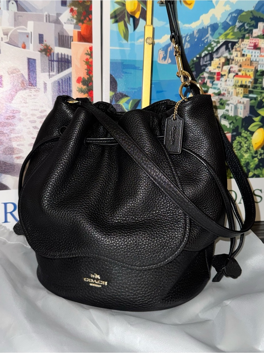 COACH Petal Tea Rose 22 Bucket Bag Black Pebble Leather - Like New 2017 (F11807) - Picture 14 of 15